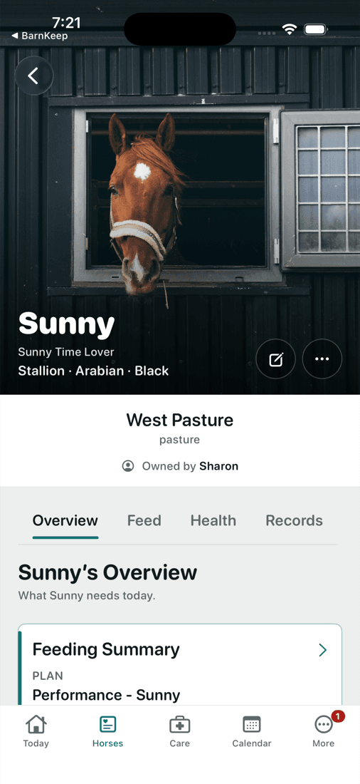Sunny's horse profile in BarnKeep