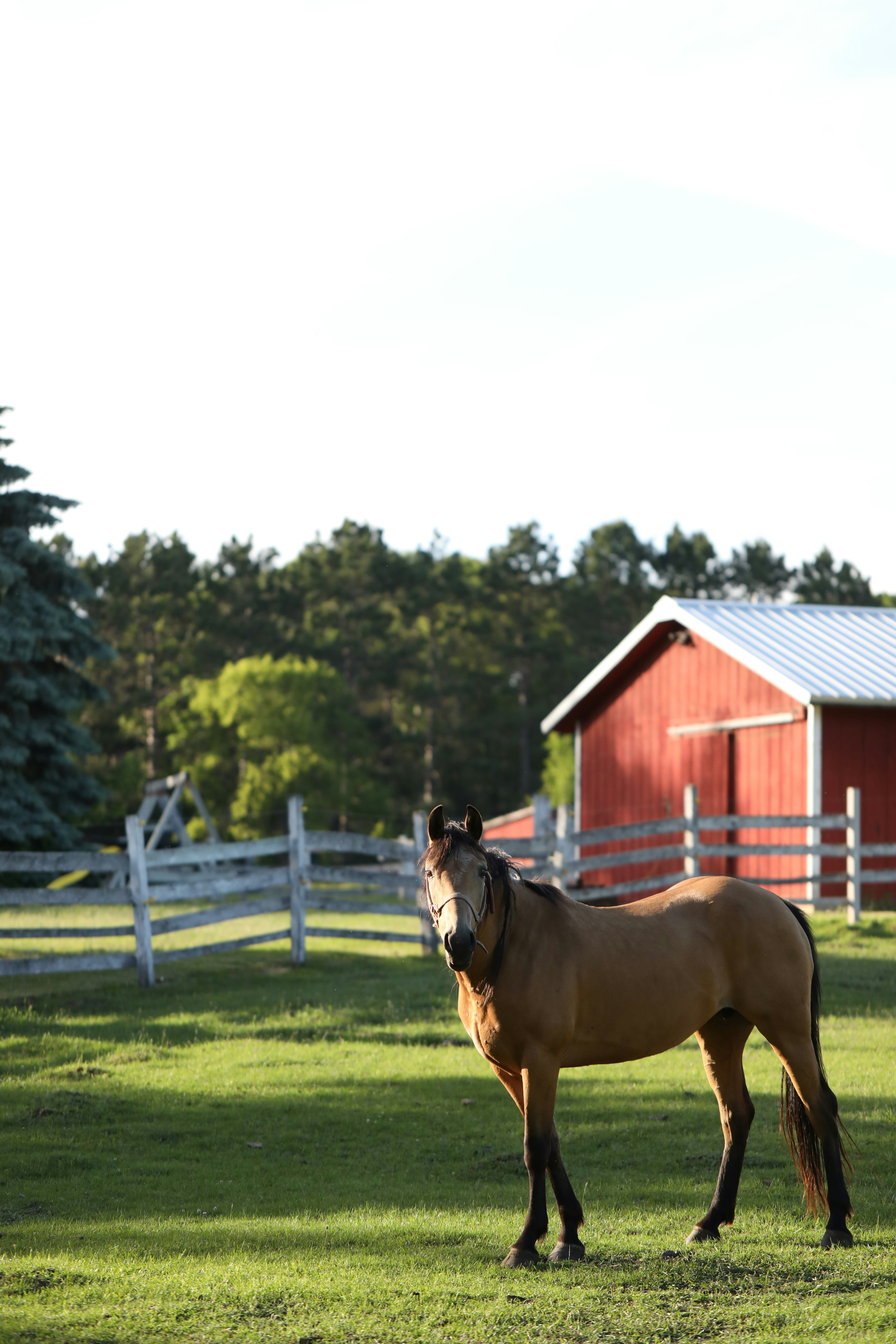 Complete health history